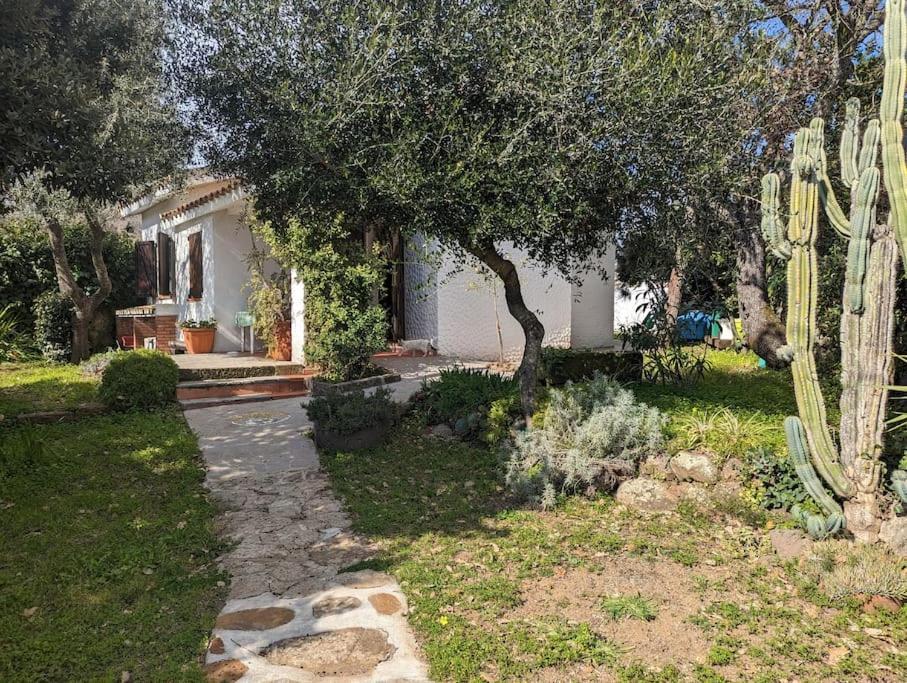 Cottage Familiare Sant'Agostino Abbasanta Exteriér fotografie